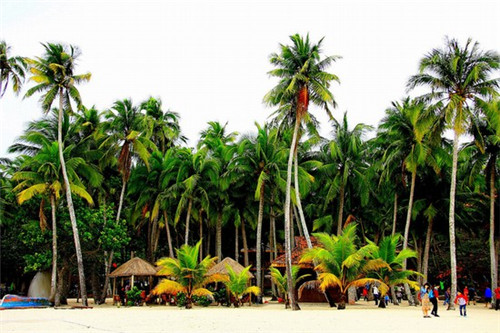 鸡装箱韩式炸鸡