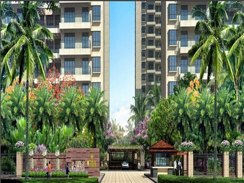 小熊伴嫁大鸡排