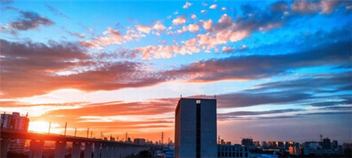 黄记品一味生煎