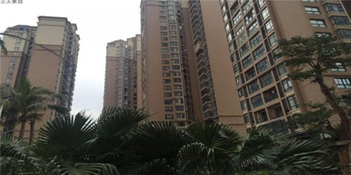 胶水品牌取名大全