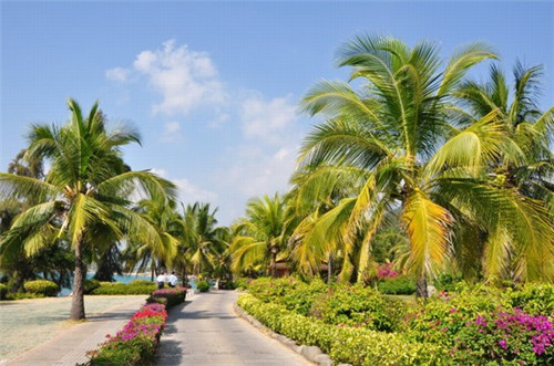 《职校技校加盟“烧钱榜”前十名“烧”样揭晓，加盟费“高”得让你“怀疑人生”！》