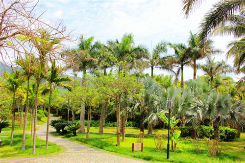 硅pu球场加盟什么店比较好