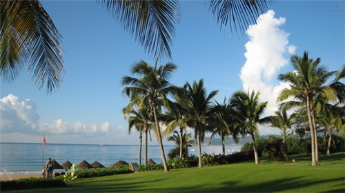 为什么散户成了十大股东（为什么大部分散户在股票中不赚钱）