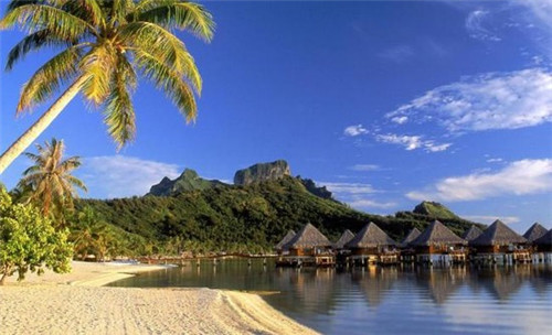 雀影尤克里里（雀跃尤克里里弹唱谱）