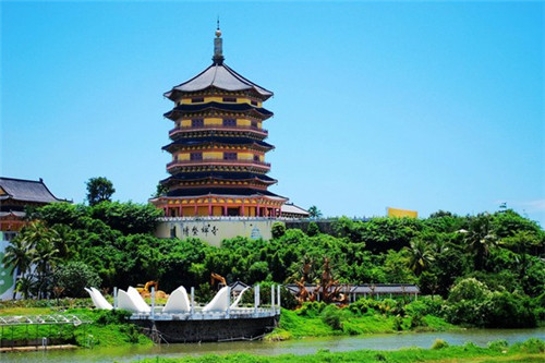 cvc单词是什么意思（什么是cvc单词拼读）