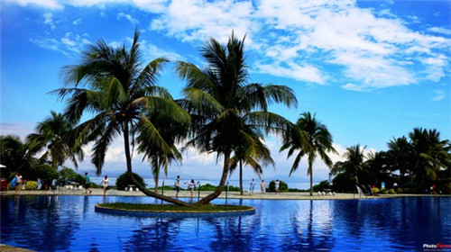 在田间割草配什么歌合适（割草的歌词）