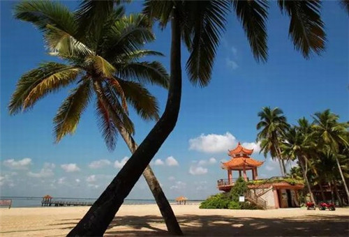 深圳小区能看到什么景点（深圳小区内能抽烟吗）