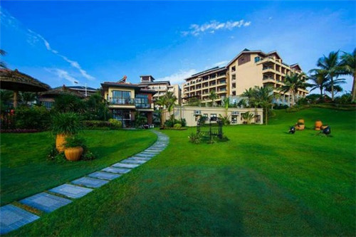 相伴成长的歌词是什么歌（相伴成长对应什么）