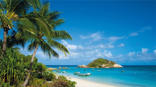 蛋糕店创业计划书摘要怎么写，蛋糕店创业日志模板怎么写