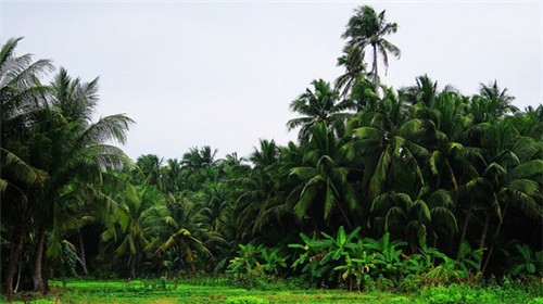 企业年会玩的小游戏（适合企业年会的小游戏）